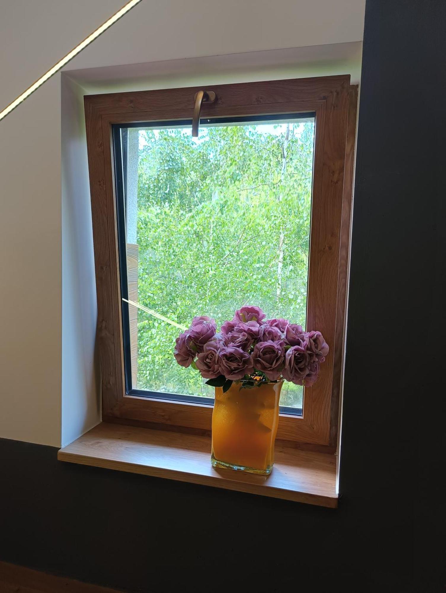 Aster Aparts Wyspa Sobieszewska Apartament *