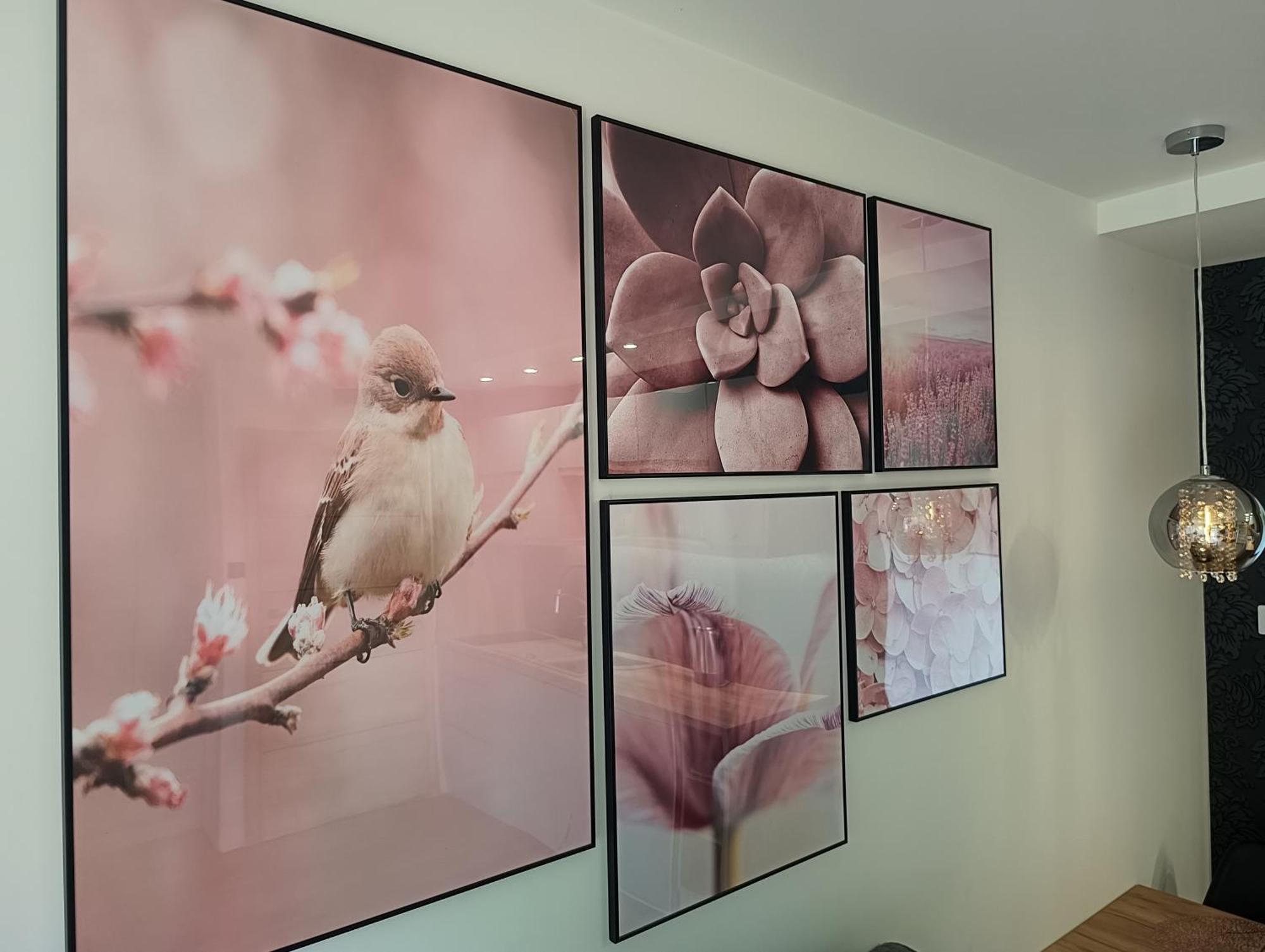 Aster Aparts Wyspa Sobieszewska Apartmán Gdaňsk