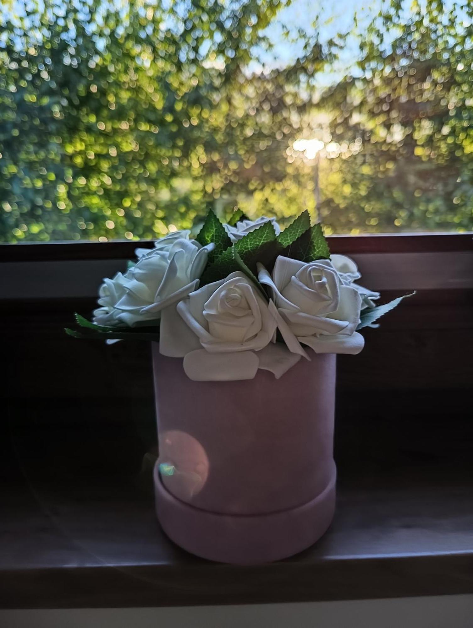 Apartmán Aster Aparts Wyspa Sobieszewska Gdaňsk